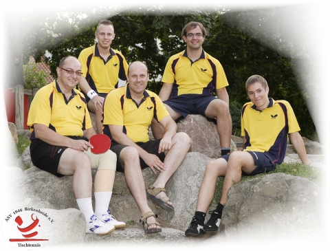 Mannschaftsfoto Herren II - Bezirksklasse Süd - 2008/2009