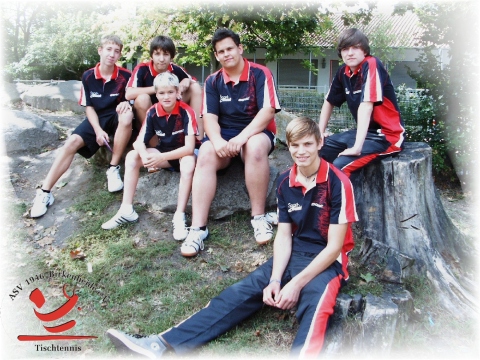 Mannschaftsfoto Jungen I - Bezirksliga - 2009/2010